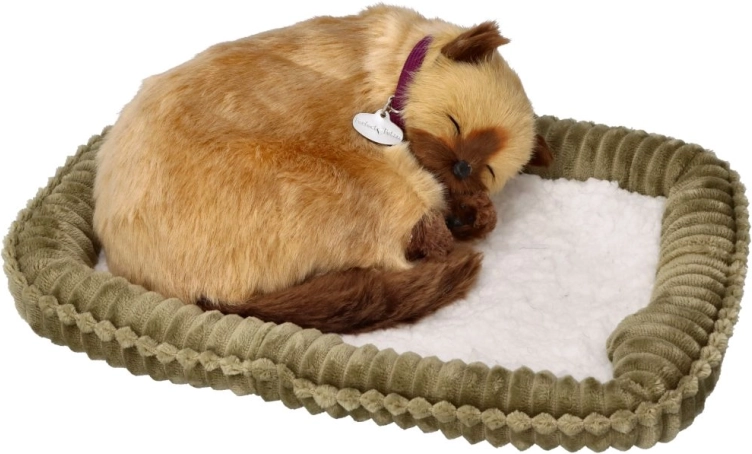 Chaton siamois qui respire – chat en peluche réaliste sur son coussin