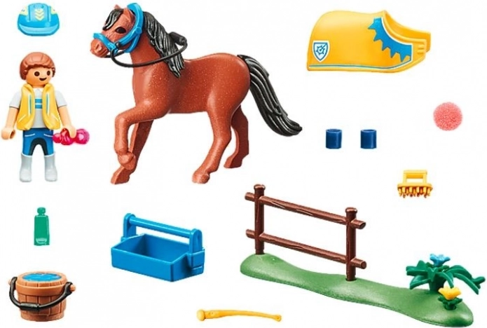 Tout pour prendre soin du poney