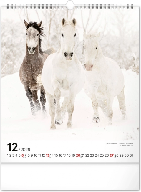 Calendrier mural Chevaux 2026