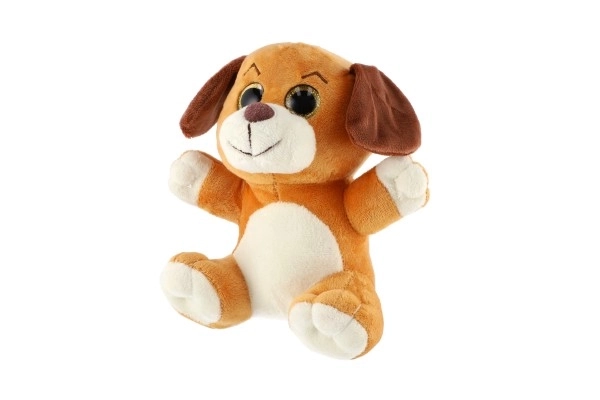 Animal en peluche grandes yeux 18 cm sur carte