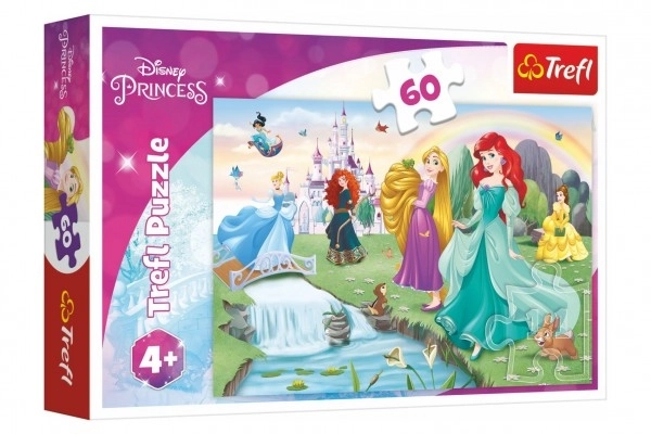 Puzzle Découvrez les princesses 33x22cm 60 pièces dans une boîte 21x14x4cm
