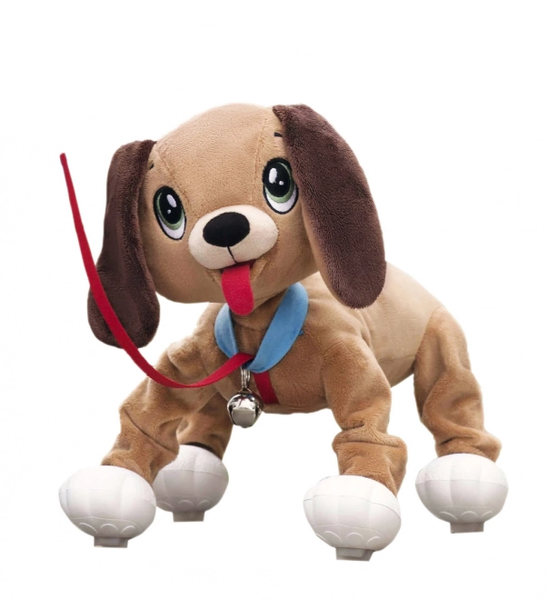 Chiot Floppy
