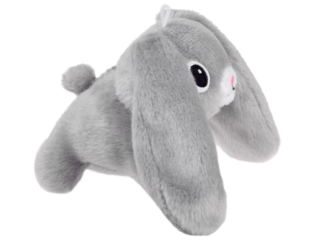 Mignon petit lapin