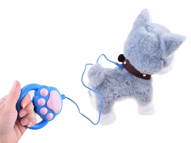 Chien Husky interactif en laisse