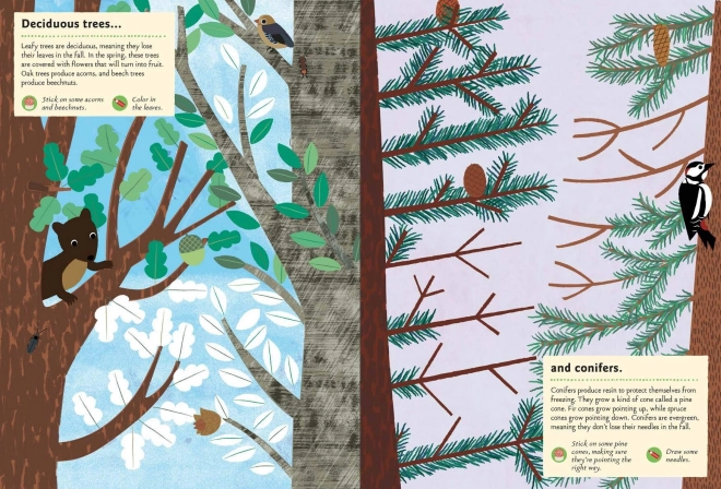 Chronicle Books Livre d'activités avec autocollants Ma nature Dans la forêt
