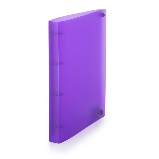 Classeur à anneaux A4 Opaline violet