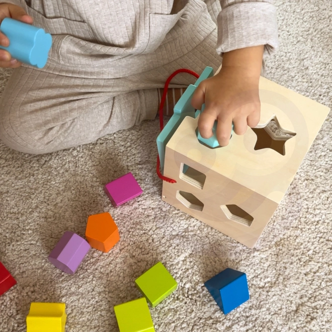 Cube en bois avec formes TOOKY TOY