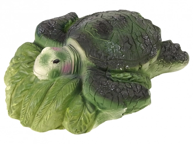 Ensemble éducatif fouilles tortue Ammonites