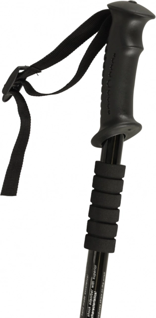 Bâtons de trekking pliants Nordic Walking, noirs, 2 pcs