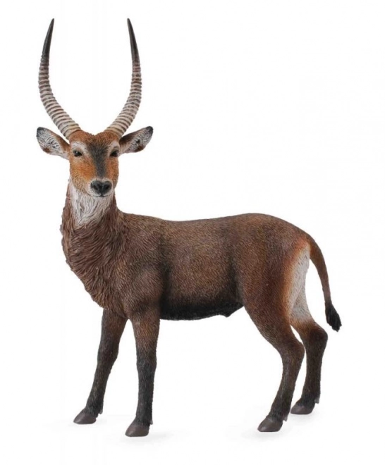Antilope Aquatique CollectA