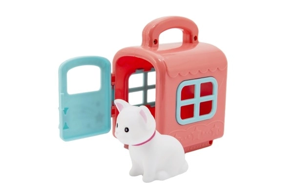 Petit animal dans une boîte de transport