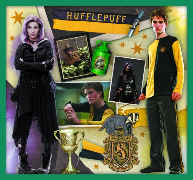 Puzzle Harry Potter - Dans le monde d'Harry Potter 10 en 1