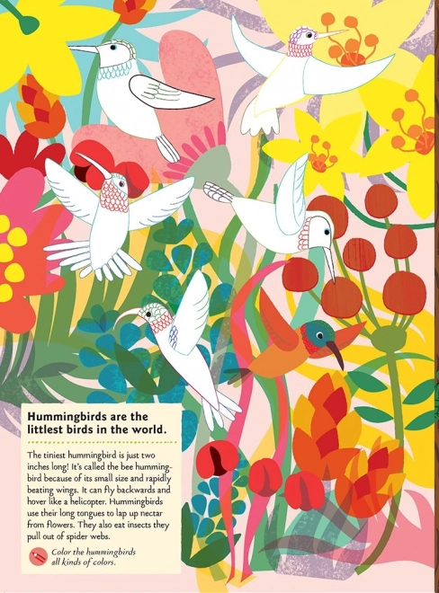 Chronicle Books Livre d'activités autocollants ma nature Oiseaux du monde