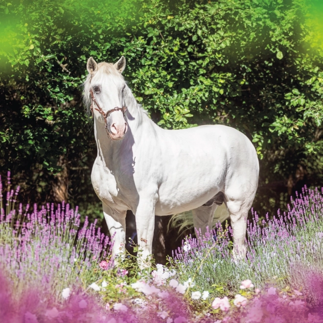 NOTIQUE Calendrier de notes Chevaux – Christiane Slawik 2025, 30 x 30 cm