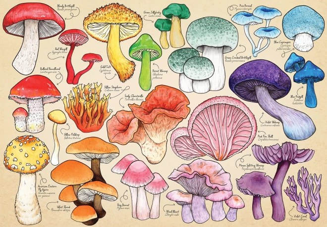 Puzzle Folie Fongique 1000 pièces