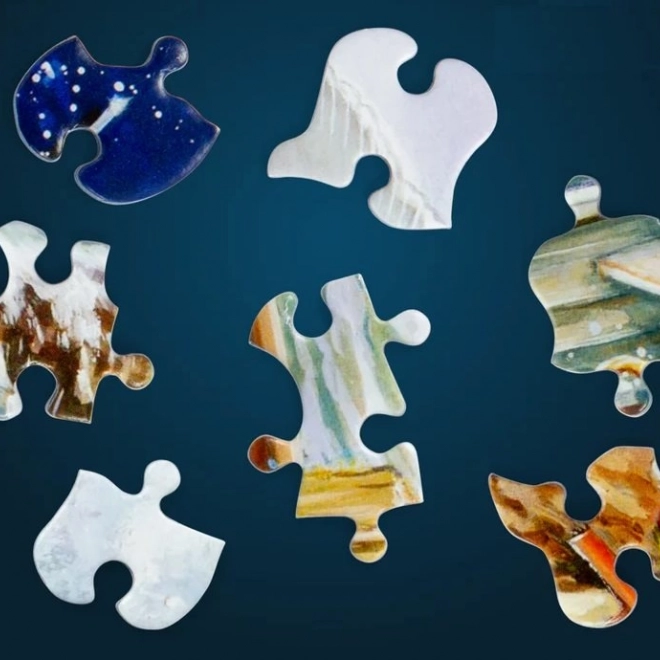 Puzzle Journée Occupée 1000 pièces