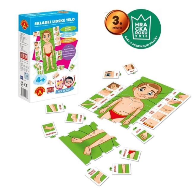 Jeu scolaire4; - ASSEMBLAGE DU CORPS HUMAIN