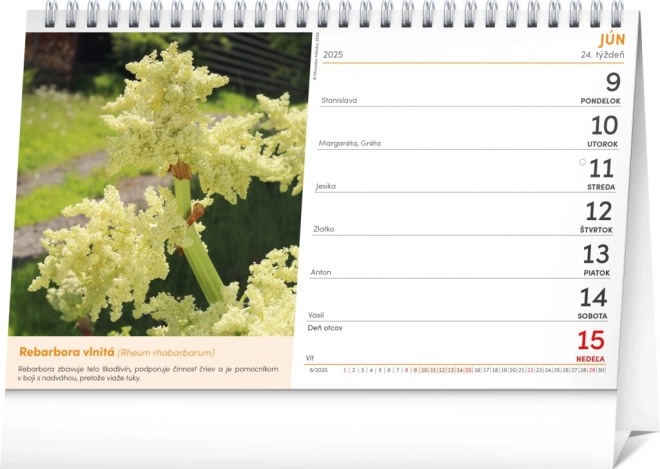 Calendrier de bureau NOTIQUE Pharmacie Naturelle 2025, 23,1 x 14,5 cm