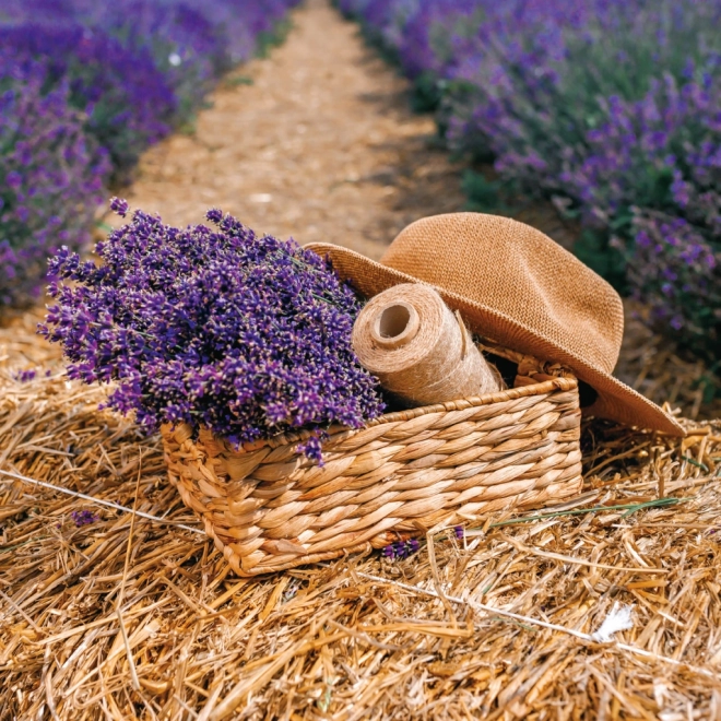 Calendrier à notes Provence 2026