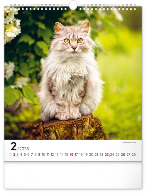 Calendrier mural Chats 2025, 30 × 34 cm