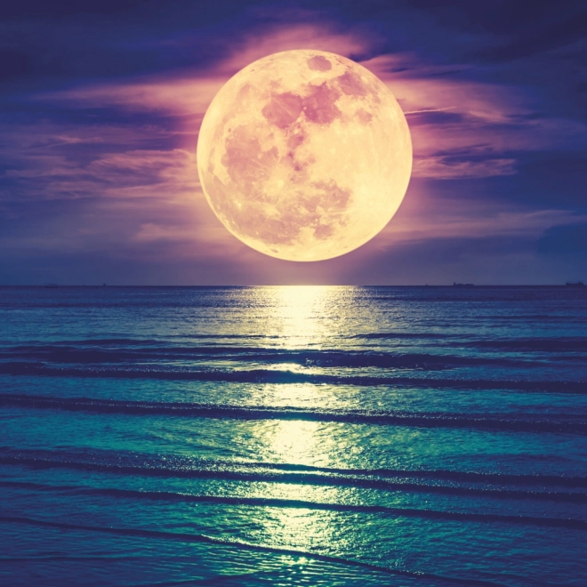 Calendrier de notes Lune 2026
