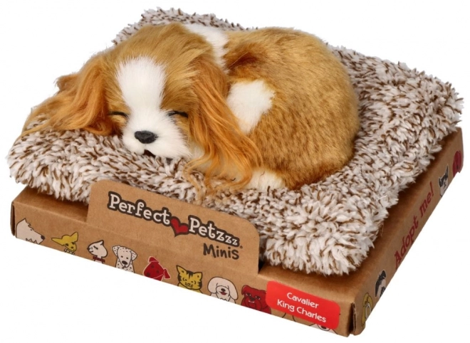 Chiot endormi Cavalier King Charles Perfect Petzzz