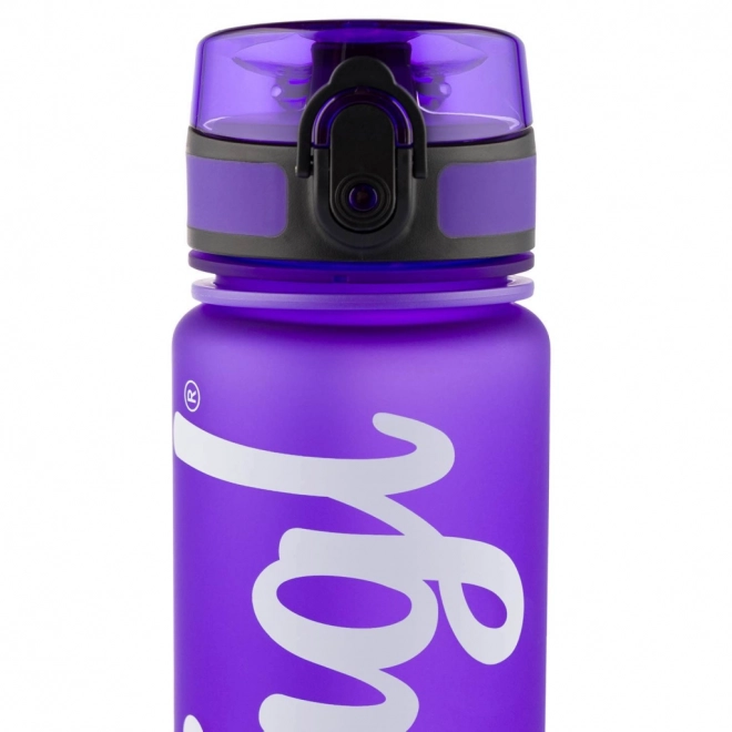Bouteille de Boisson en Tritan Violet 500ml Baagl