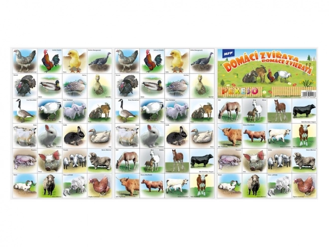 Pexeso MFP 3xA4 Animaux domestiques