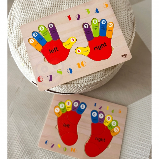 Puzzle éducatif en bois mains et pieds