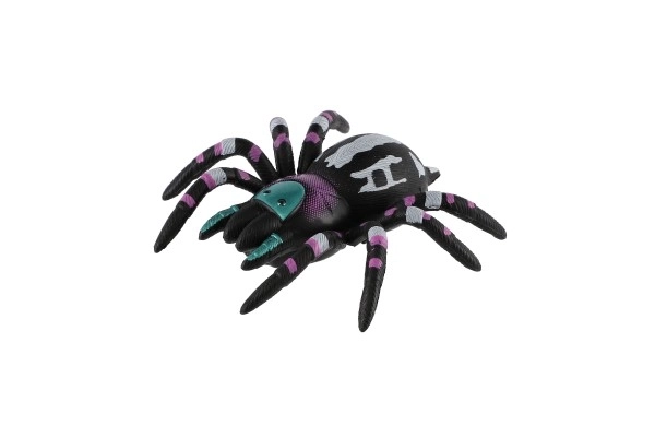 Araignée grimpante en plastique sur verre 8cm 3 couleurs sur carte