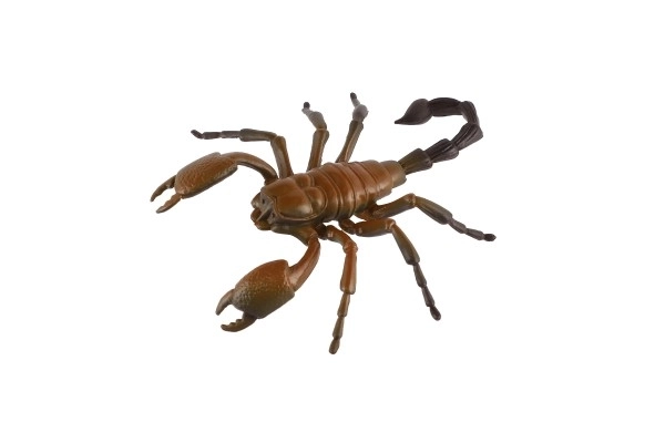 Modèles réalistes d'insectes en plastique
