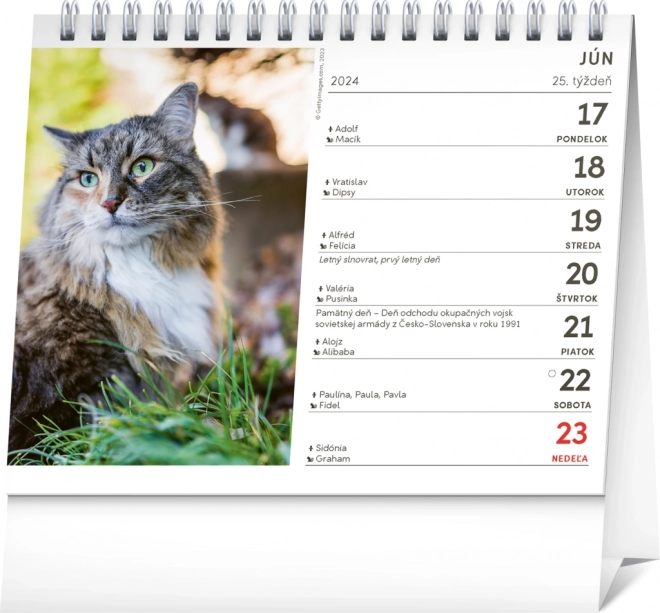 Calendrier de bureau Chats - avec les noms des chats 2024, 16,5 × 13 cm