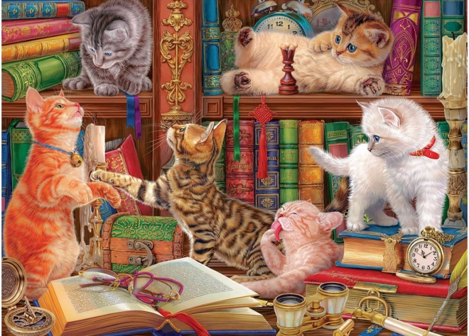 EUROGRAPHICS puzzle bibliothèque féline 1000 pièces
