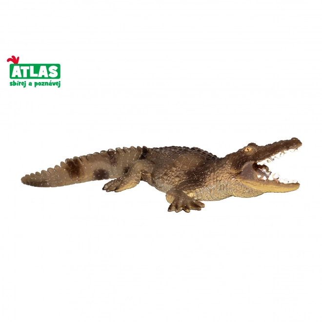 B - Figurine Crocodile 15 cm