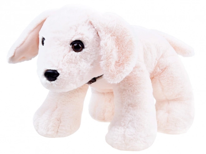 Chiot en peluche