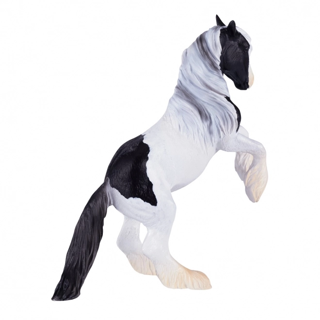 Mojo Étalon Gypsy Vanner