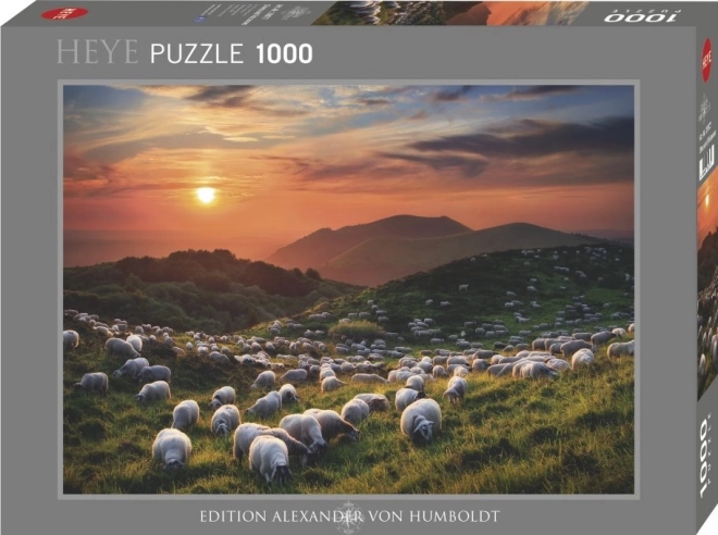 Puzzle 1000 pièces Moutons et volcans