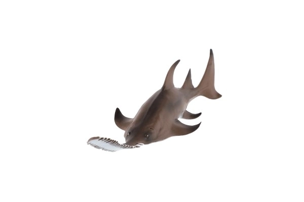 Poisson-scie commun en plastique, 22cm dans un sac