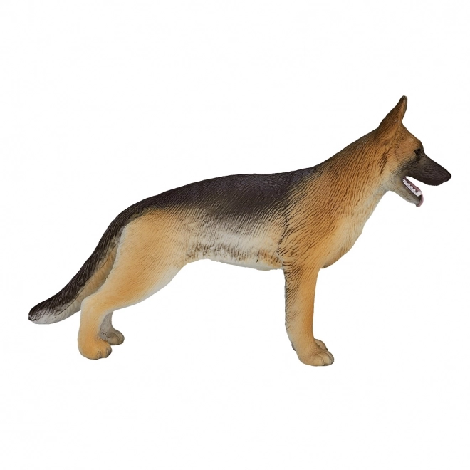 Mojo Chien de berger allemand