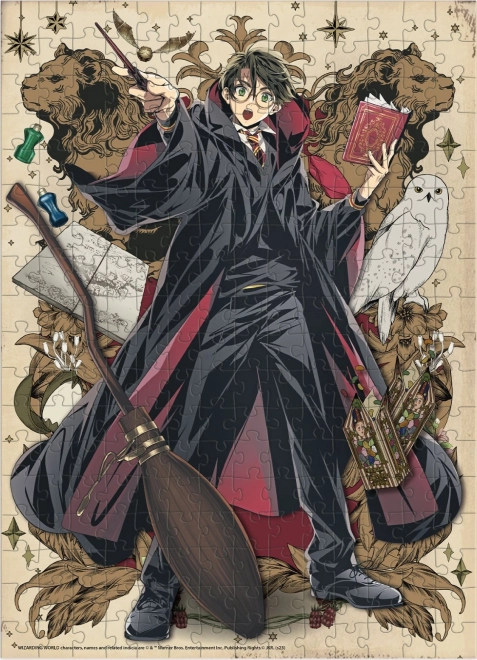 Puzzle DODO Harry Potter : Jeune Sorcier 250 pièces