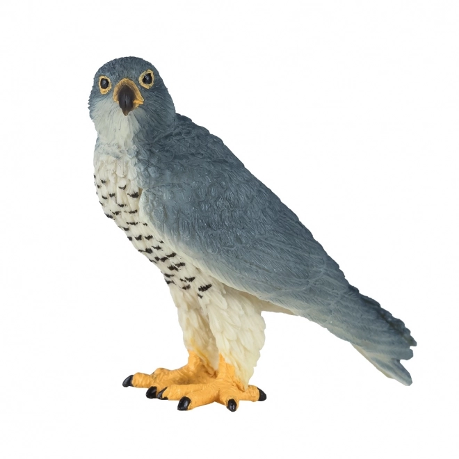 Mojo Faucon pèlerin