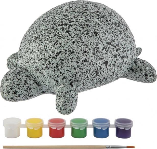 Une forme de tortue qui plaît