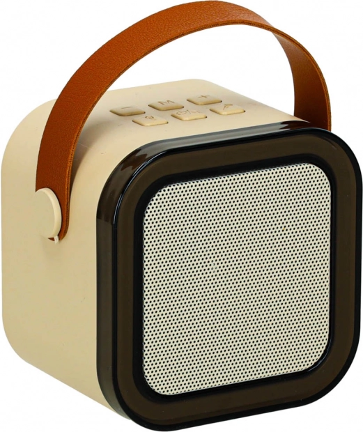 Haut-parleur compact 6 W avec Bluetooth