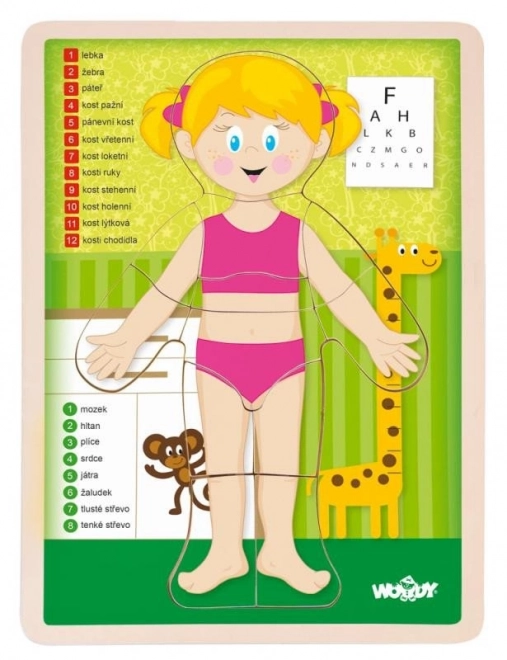 Puzzle en bois double face corps humain - fille