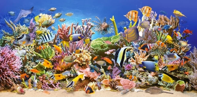 puzzle vie sous-marine 4000 pièces CASTORLAND