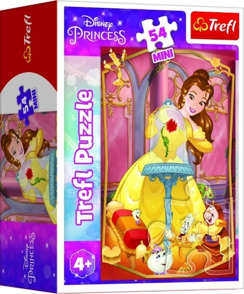 Minipuzzle Belles princesses/Disney Princess 54 pièces