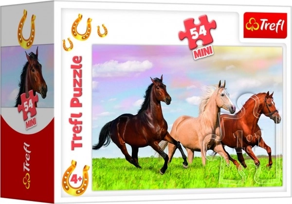 Minipuzzle 54 pièces Chevaux 4 types dans une boîte 9x6,5x4cm
