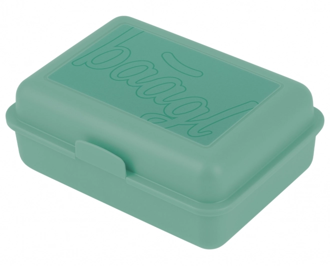 Boîte à déjeuner verte