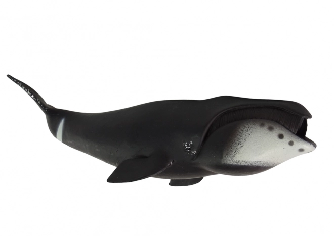 Grande figurine de collection Baleine du Groenland