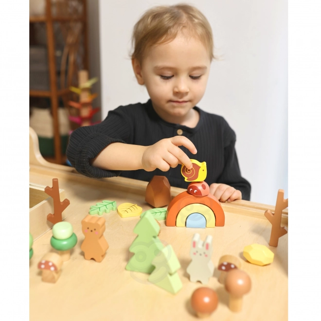 Ensemble forestier avec blocs en bois Tooky Toy
